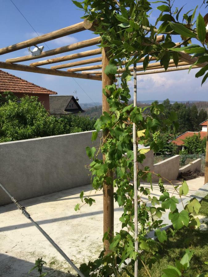 Vale Coelhos Casa De Campo Sarnadela Eksteriør bilde